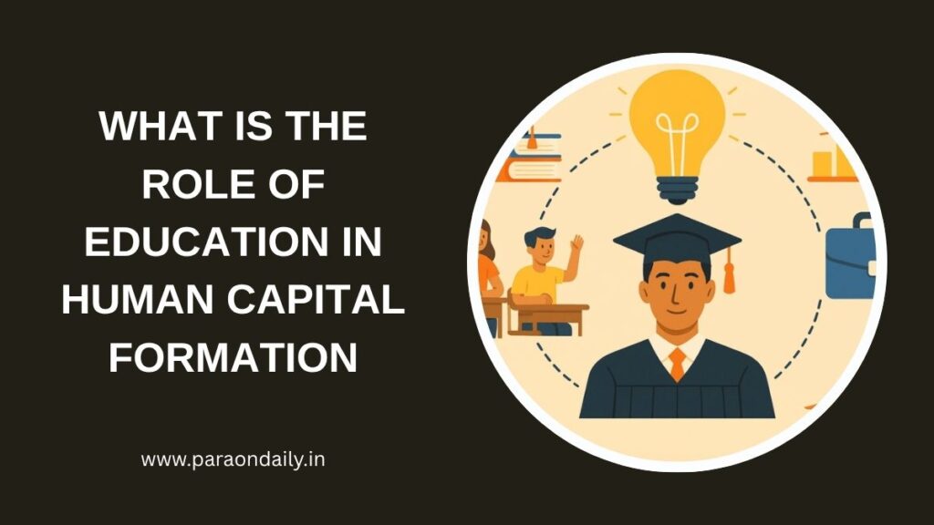 What is the Role of Education in Human Capital Formation