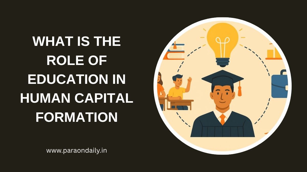 What is the Role of Education in Human Capital Formation