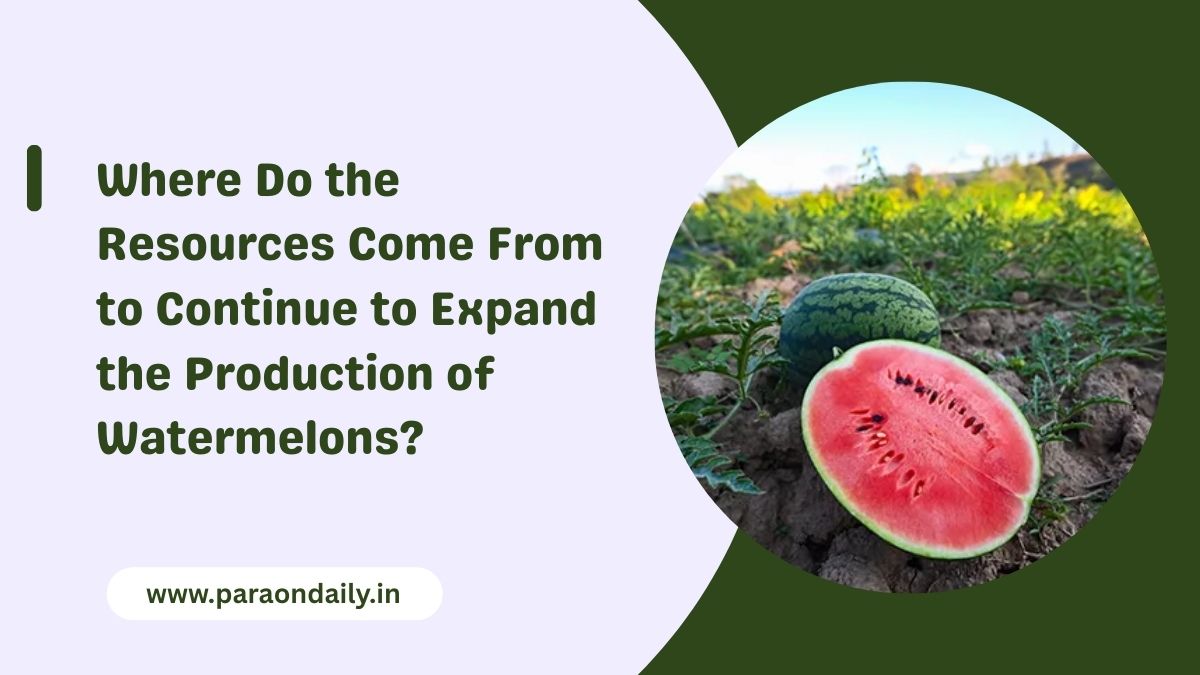 Where Do the Resources Come From to Continue to Expand the Production of Watermelons?