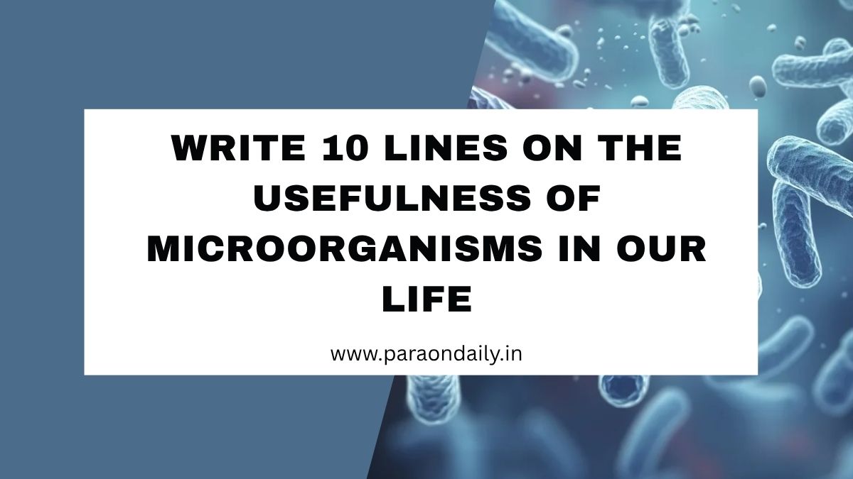 Write 10 Lines on the Usefulness of Microorganisms in Our Life
