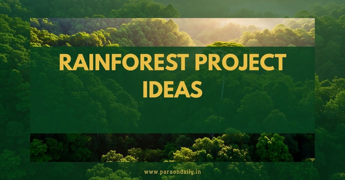 Rainforest Project Ideas